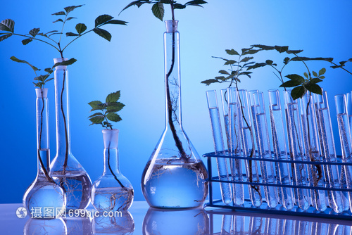 生物工程引領未來 工廠化植物實驗的技術突破與應用前景