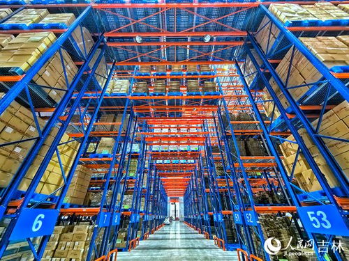 科技賦能，吉林人參“變身記” 生物工程技術開啟產業新篇章